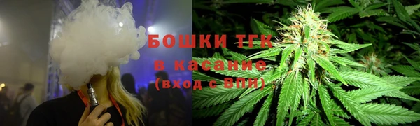 ПСИЛОЦИБИНОВЫЕ ГРИБЫ Вязьма